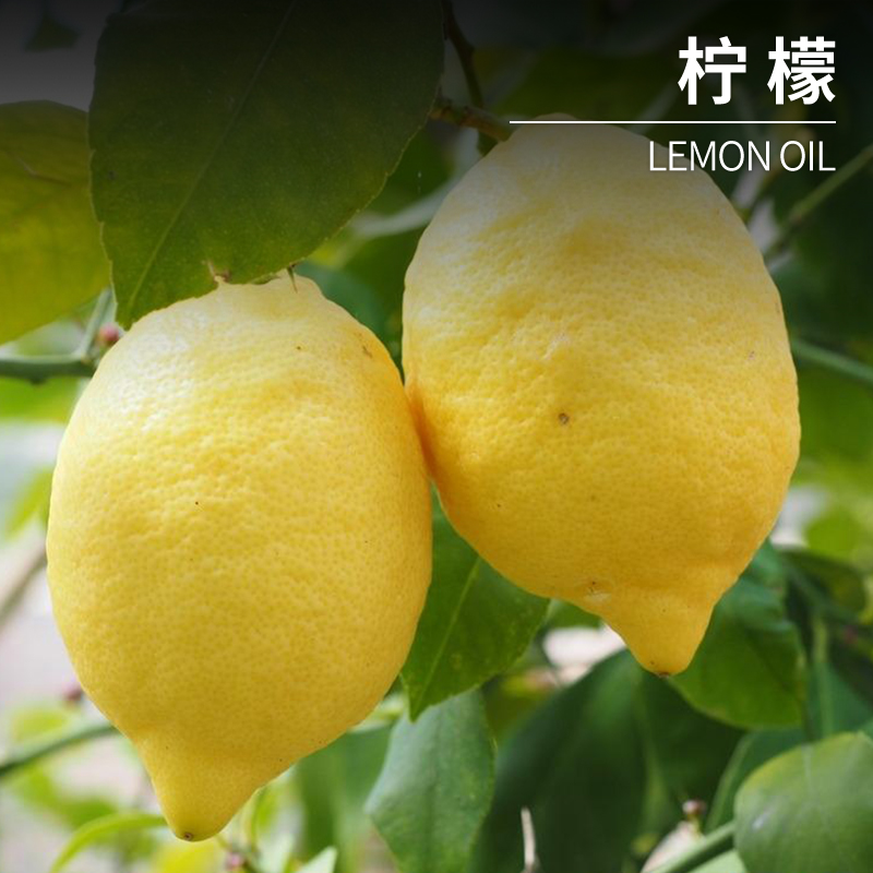 香精香料