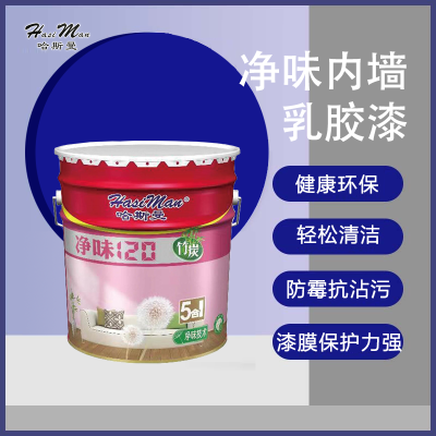 涂料成品