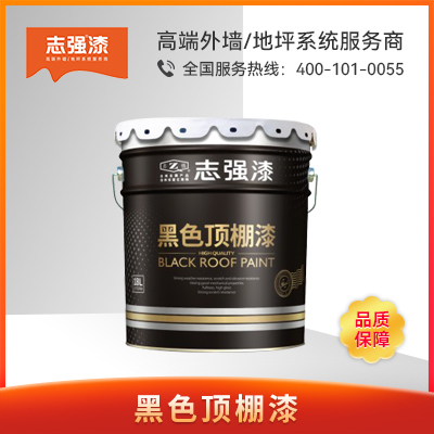 黑色顶棚漆    浙江志强涂料有限公司