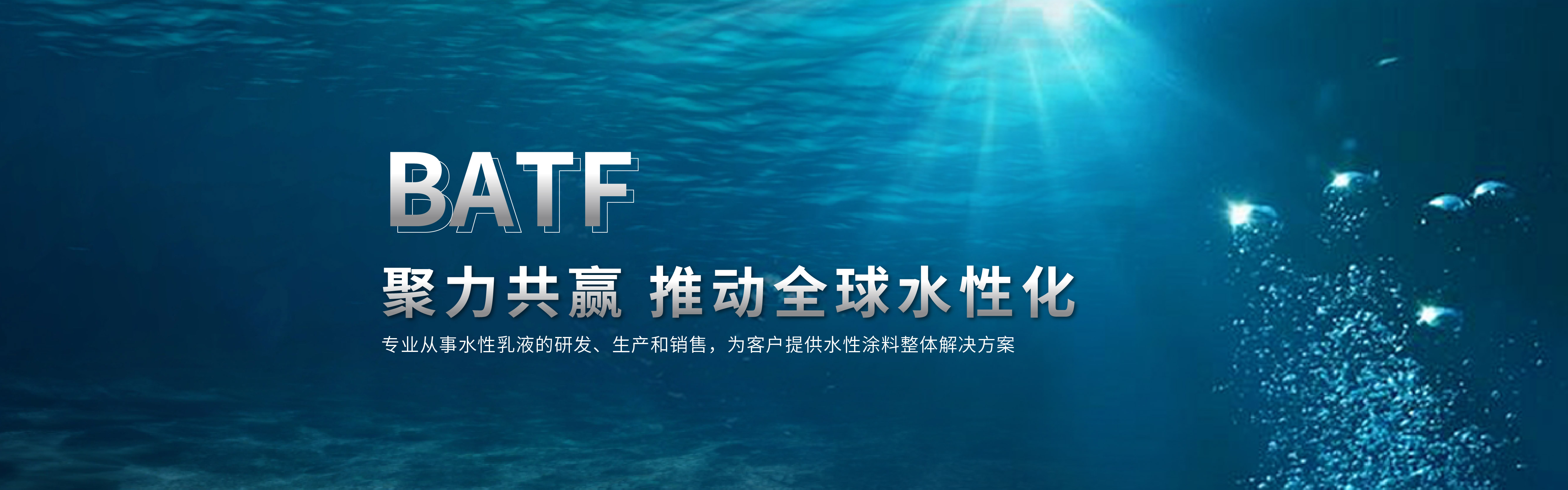 巴德富集团有限公司