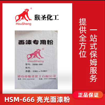 亮光面漆粉  HSM-666  佛山市猴圣化工有限公司