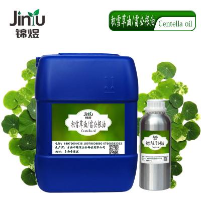 厂家供应积雪草油 雷公根油 植物精油 单方精油 按摩精油    锦煜