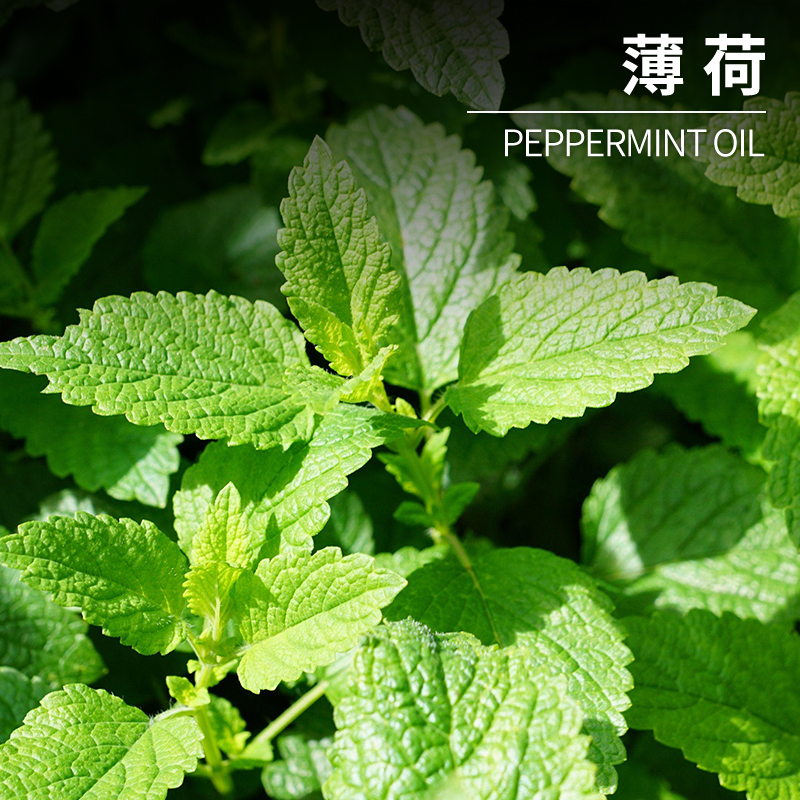 香精香料