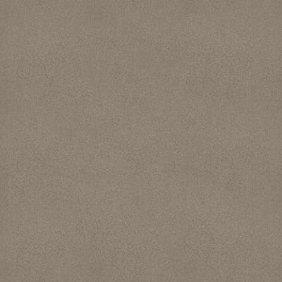 瑞拉    江门市正高新材料有限公司