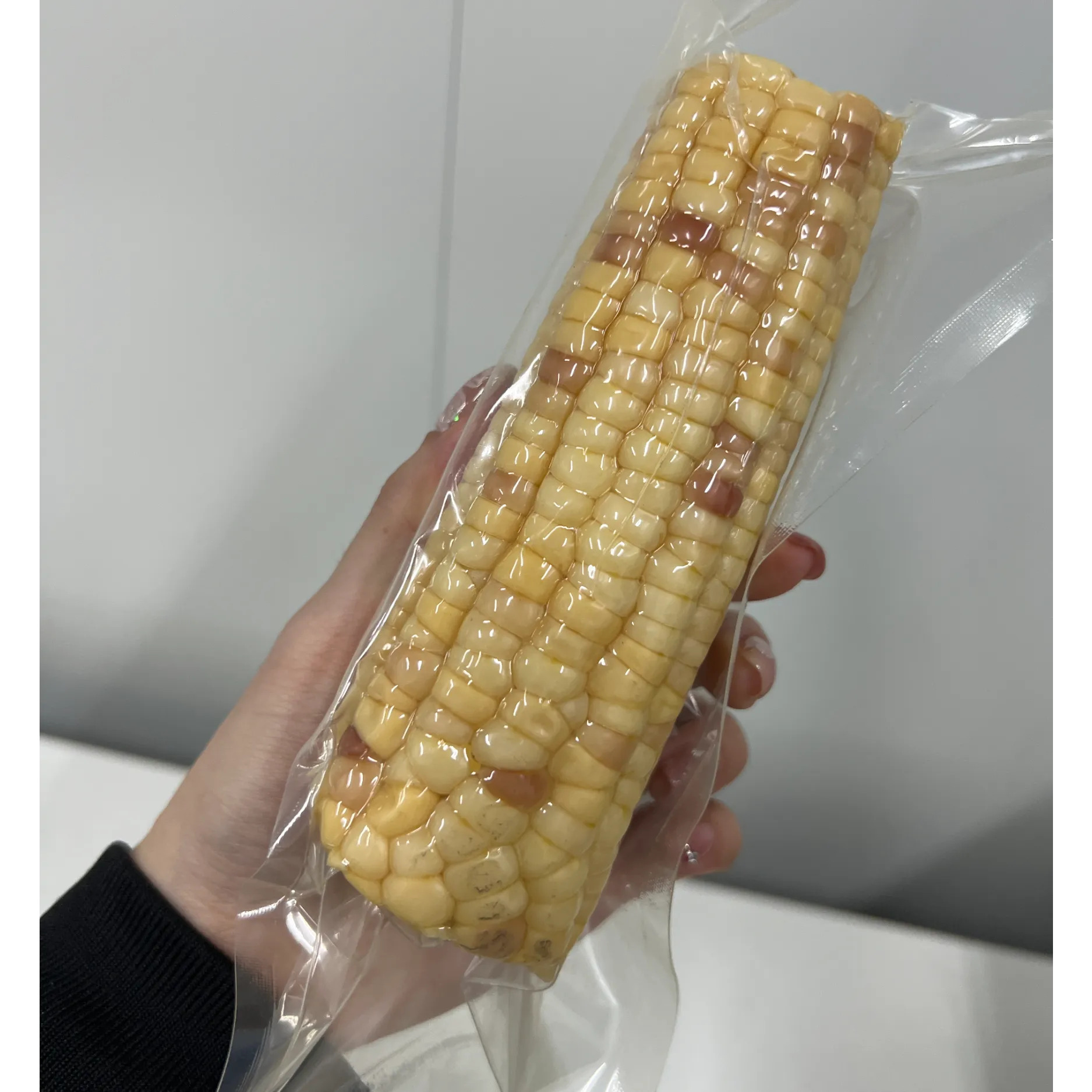 高阻隔高温蒸煮尼龙H-BOPA    华硕（江苏）新材料有限公司