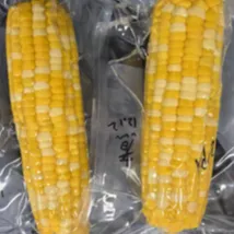 塑料弹性体