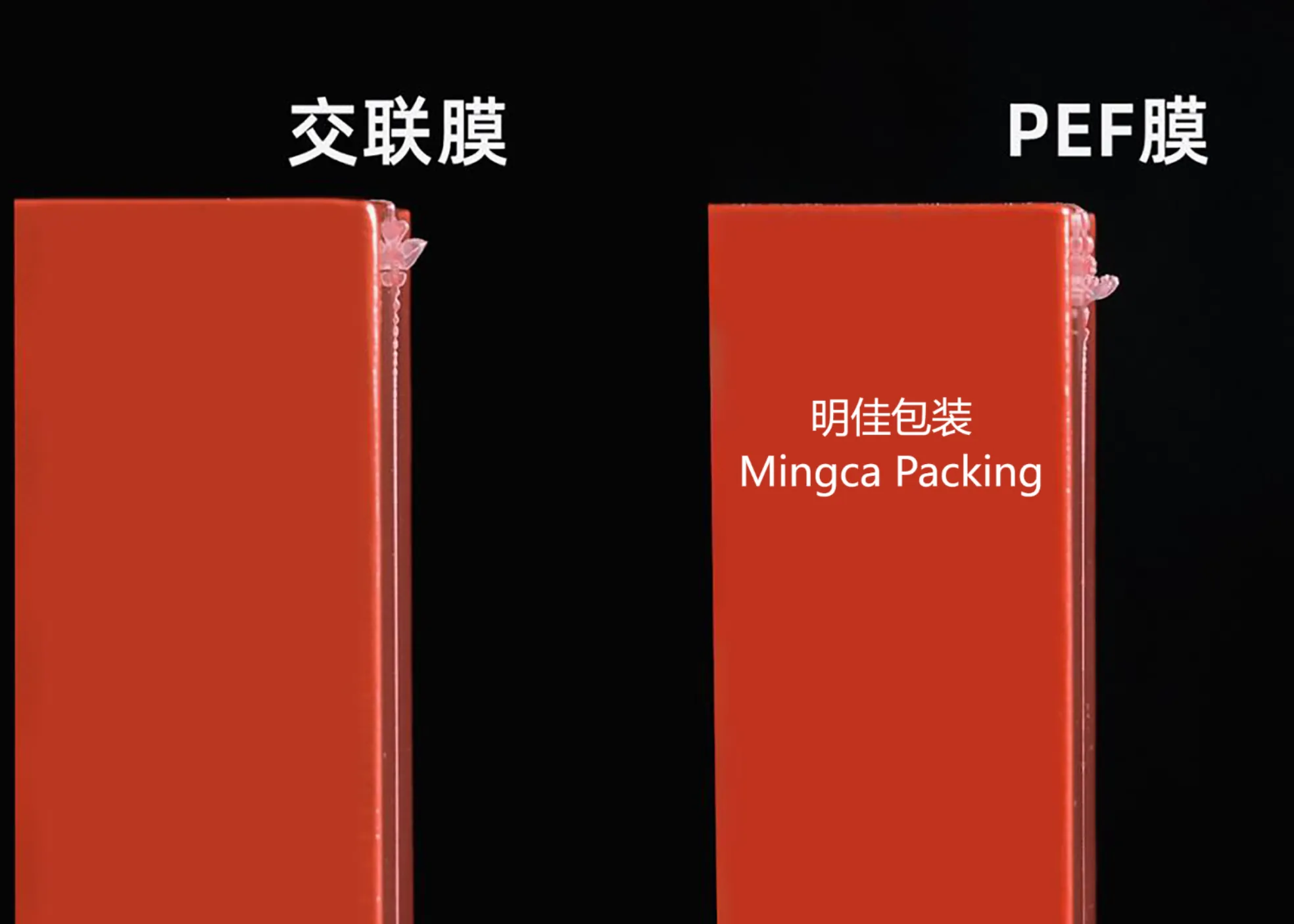 塑料弹性体