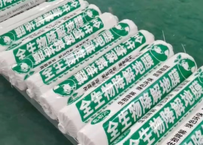 塑料弹性体